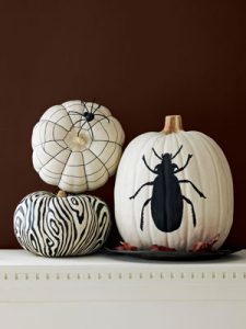 CLX-black-and-white-pumpkin-v2-mdn