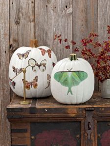 halloween pumpkins moth decals 1012 NKcT0l mdn 225x300 halloween pumpkins moth decals 1012 NKcT0l mdn