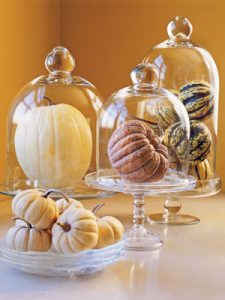 pumpkinideas-glasscloche-mdn